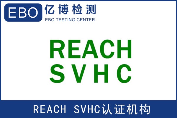 亞馬遜REACH報告哪里可以做？